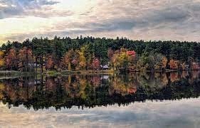 A serene lake surrounded by a forest of trees with autumn foliage.