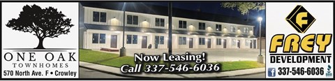 an image of a building with a now leasing sign and a tree