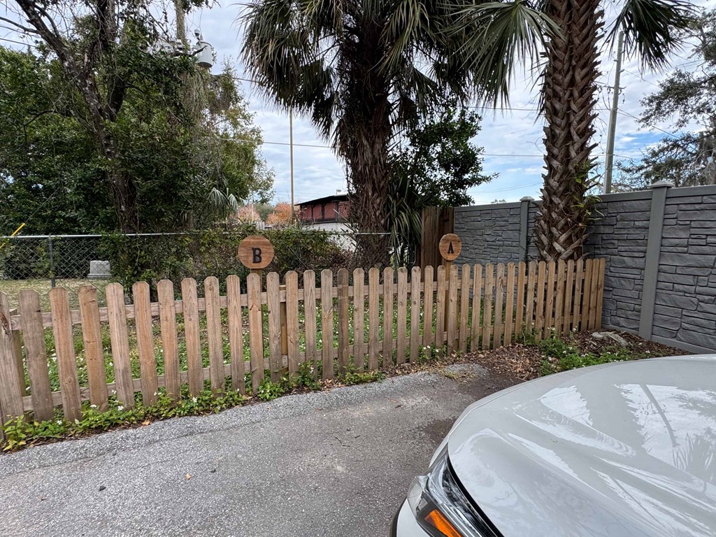 A wooden fence with a sign that reads B is in front of a palm tree.