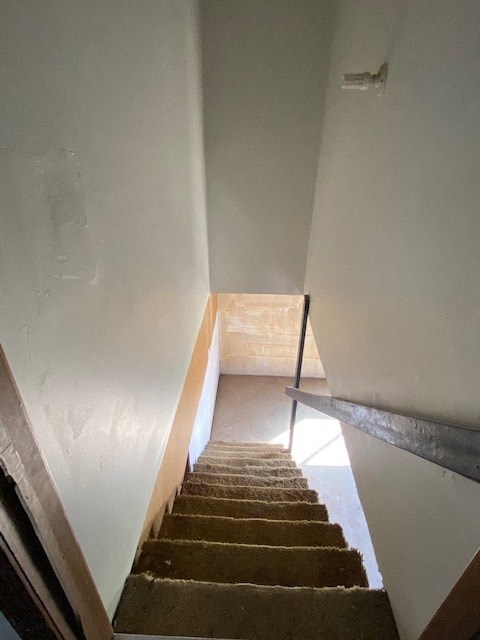 A staircase with a carpeted runner and wooden steps.