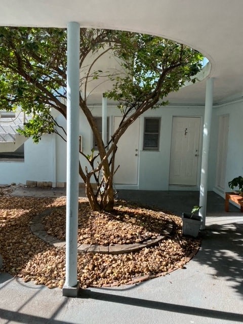 a tree in front of a white house
