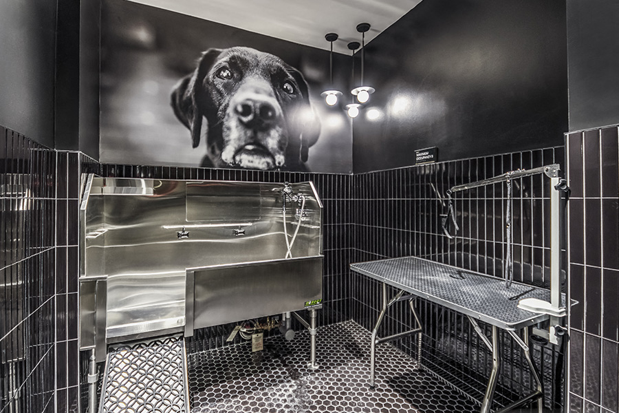 The Camille Apartments - Bethesda, MD - Pet Spa