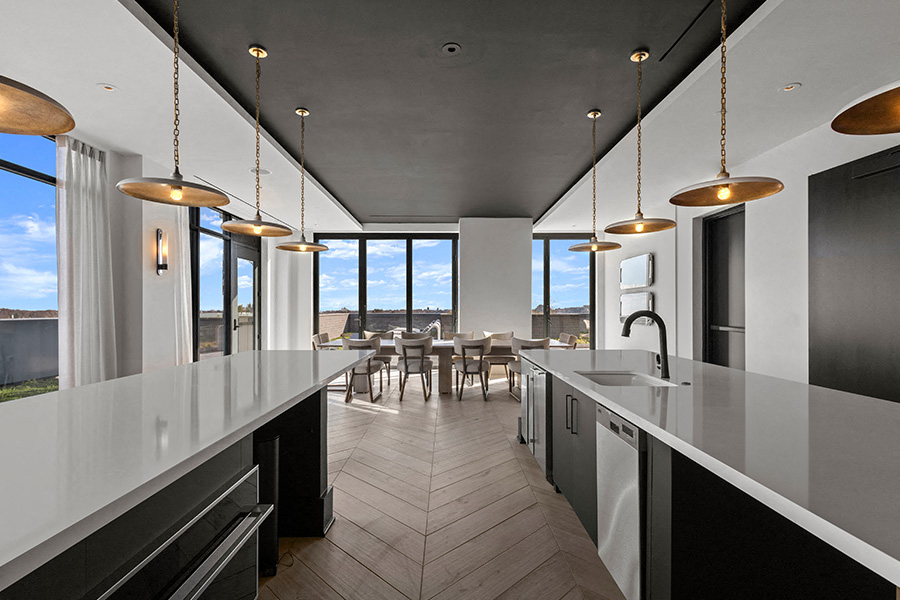 The Camille - Brand new apartments in Bethesda, MA - entertainment kitchen