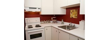 1 Bed, 1 Bath (Medium)