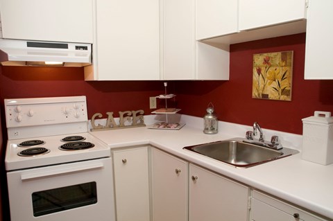 150 MacLaren St. Studio-2 Beds Apartment for Rent - Photo Gallery 4