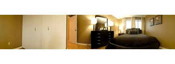 1 Bed, 1 Bath (Large)