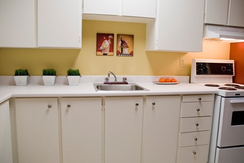 150 MacLaren St. Studio-2 Beds Apartment for Rent - Photo Gallery 7