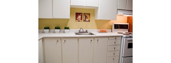 1 Bed, 1 Bath (Penthouse Suite)