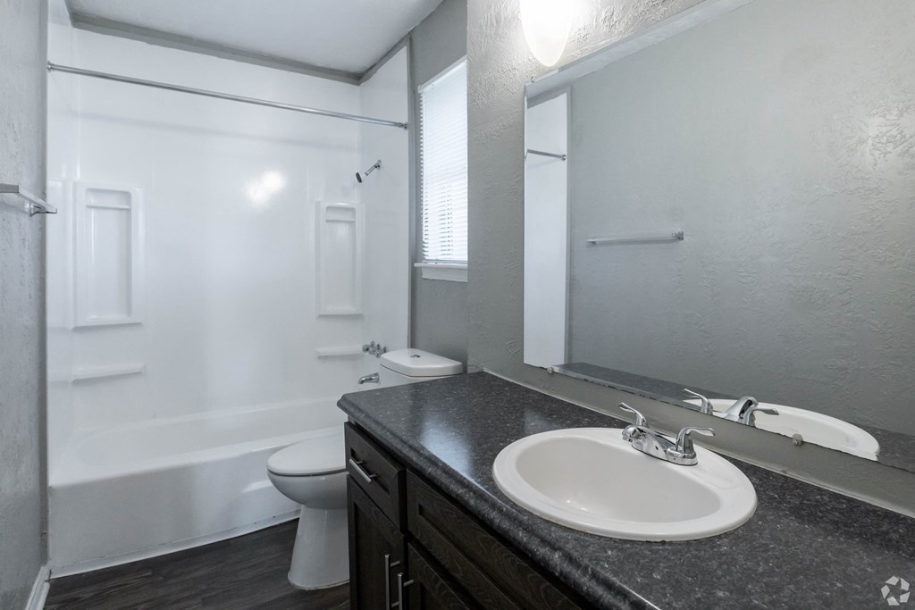 a bathroom with a sink and a toilet and a mirror