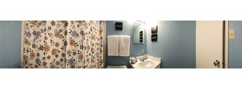 1 Bed, 1 Bath
