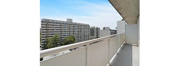 1 Bed, 1 Bath (Medium) Upgraded