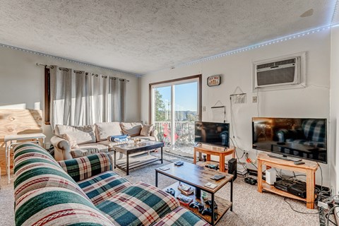 A living room with a striped rug and a flat screen TV.