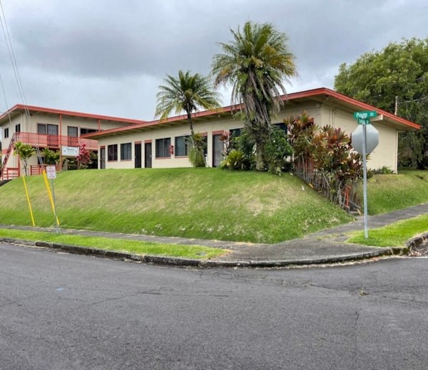 a house with a green lawn and palm trees in front of it
