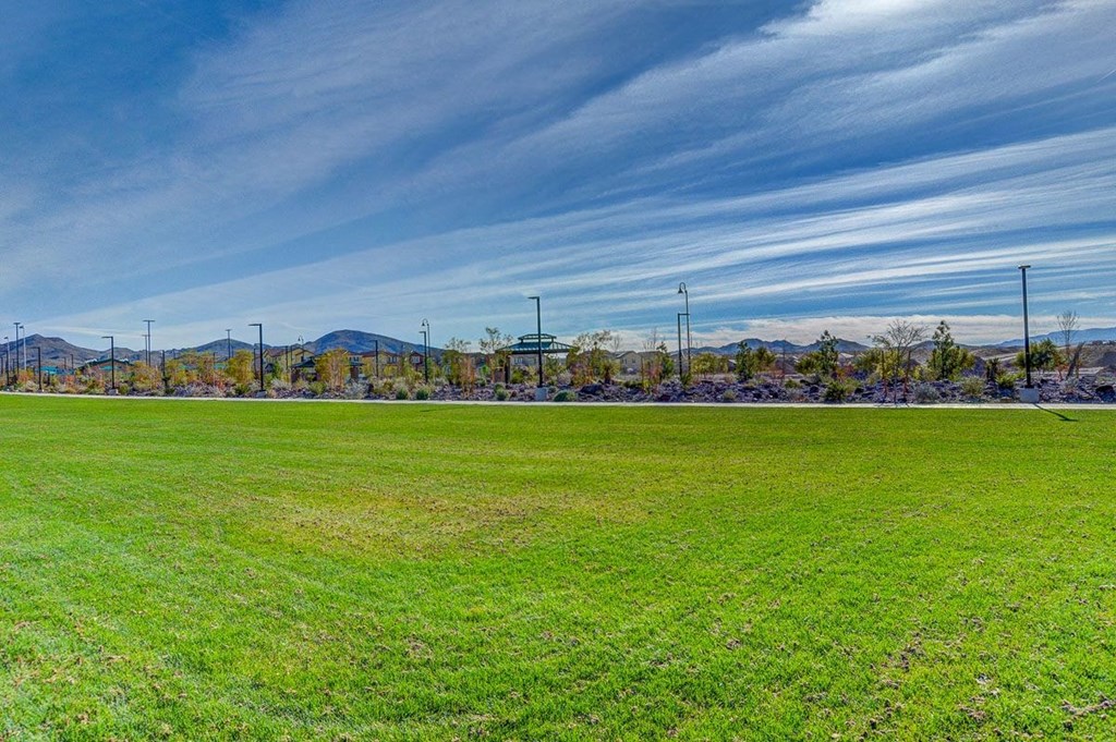 a large grass field with mountains in the background