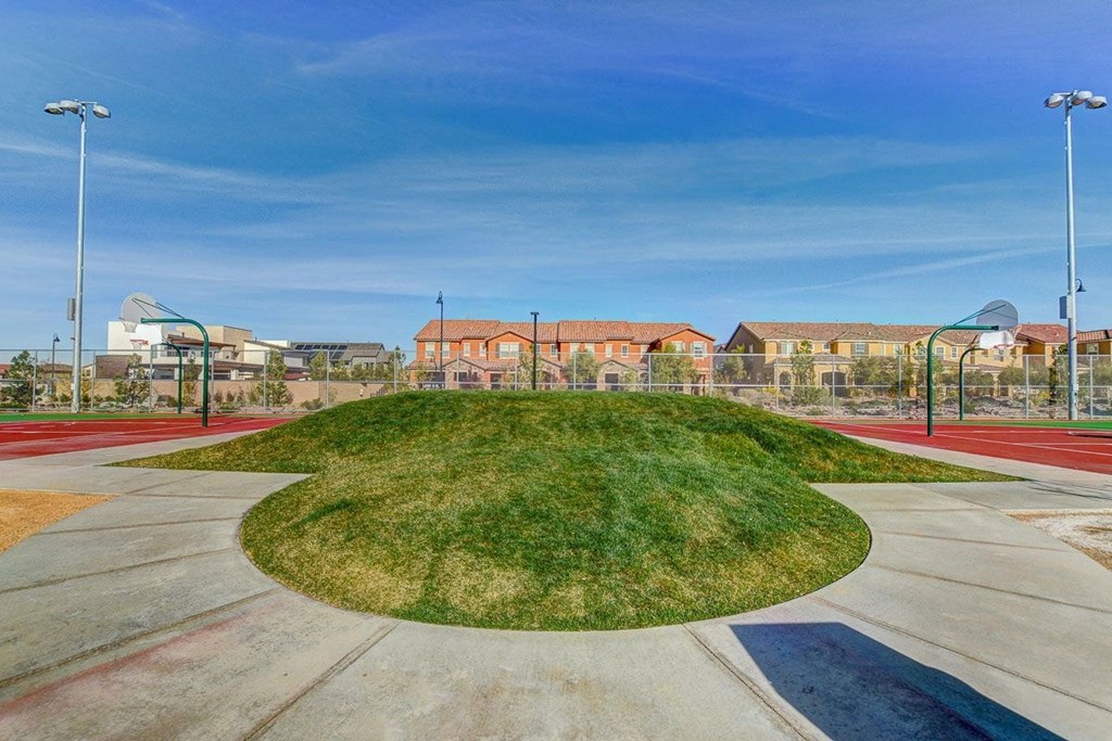 a grassy park with a playground and houses in the background