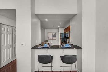 317 N. Broad Street Studio-2 Beds Apartment for Rent - Photo Gallery 4