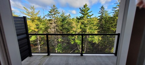 A balcony with a black railing overlooks a forest.