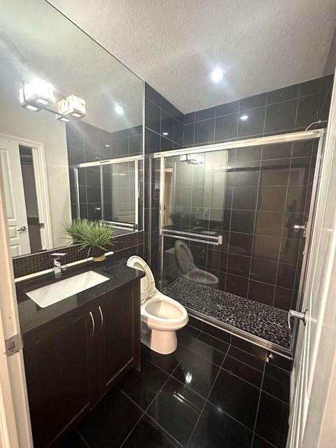 a bathroom with black tile and a shower and a toilet