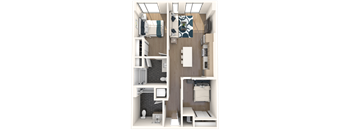 2 Bedroom Junior (A)