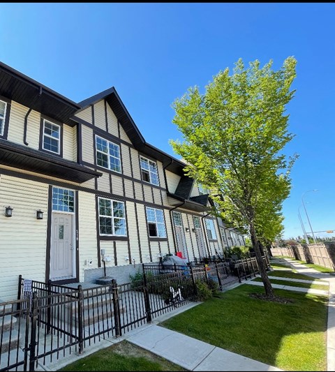 a row of houses with a tree in the yard