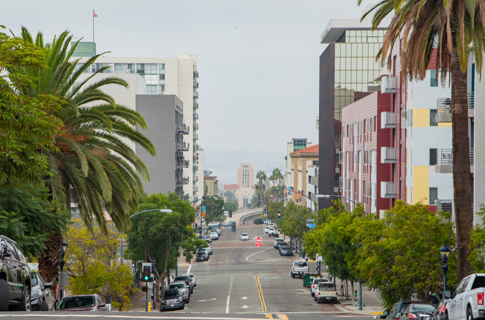 a city street with palm trees and tall buildings