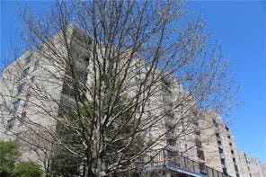 A tall building with a tree in front of it.
