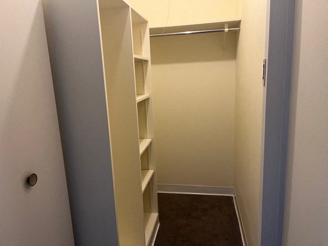 a closet with shelves in a room with a door