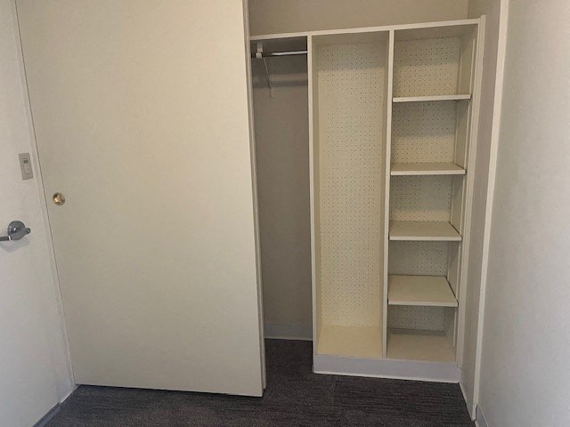 a white closet with shelves and a door