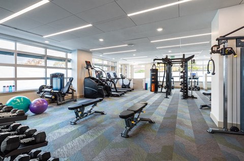 the gym at the apartments for rent