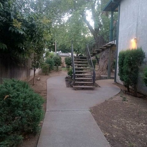 A concrete walkway leads to a wooden staircase in a garden.