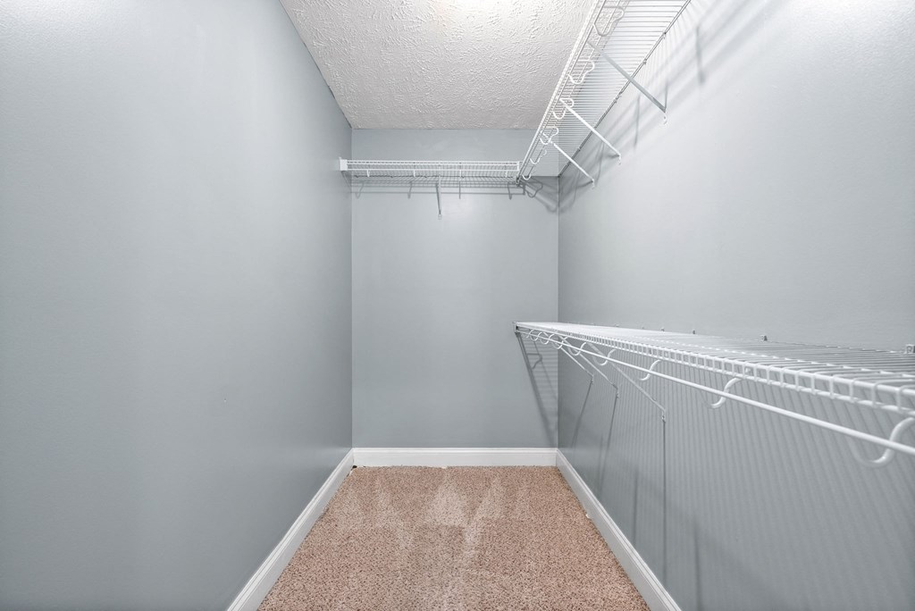 our apartments have a spacious walk in closet with mirrored closet doors