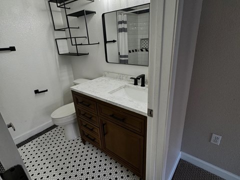 a bathroom with a sink and a toilet
