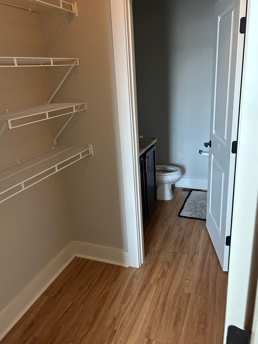a bathroom with a closet and a toilet in it