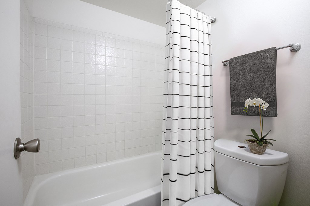 a white bathroom with a shower curtain and a toilet