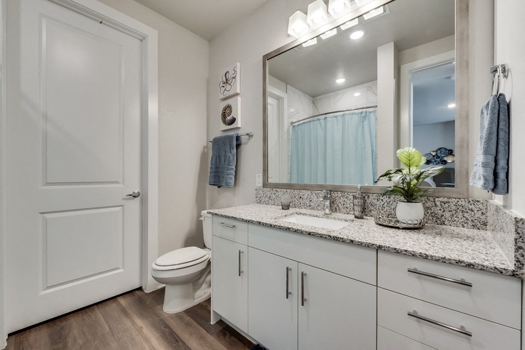 a bathroom with a sink and a toilet and a mirror