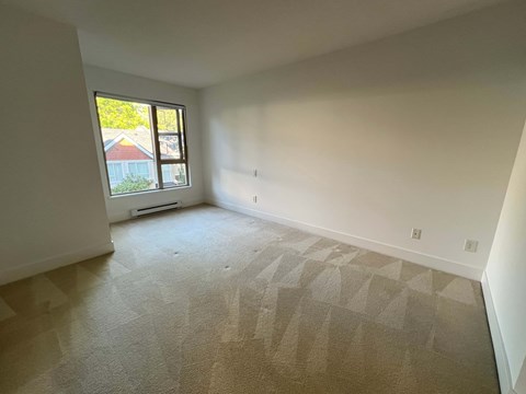 A room with a carpeted floor and a window.