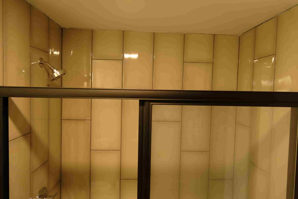 a bathroom with a shower and a glass door