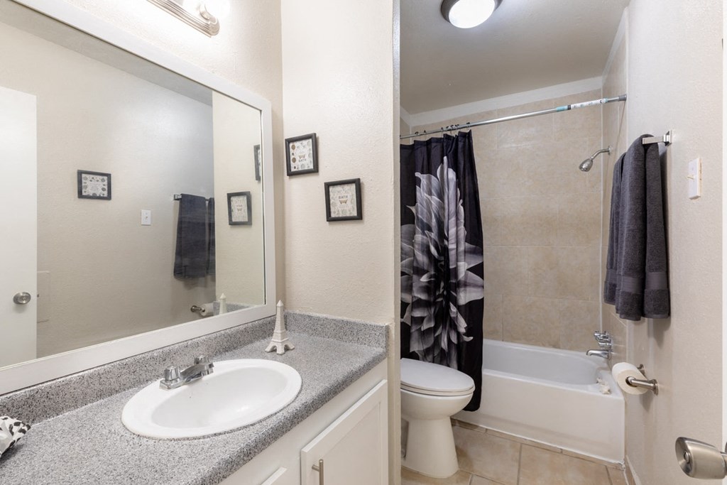 a bathroom with a sink and a shower and a toilet