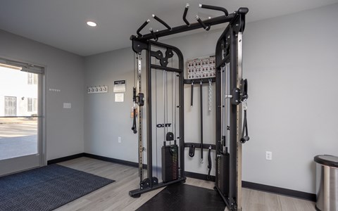A home gym with a squat rack and a bench.
