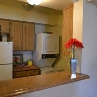 a kitchen with a vase of flowers on a counter