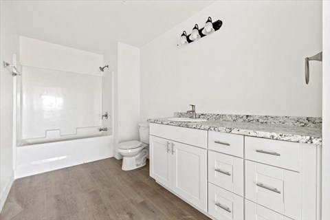 a bathroom with a sink and a toilet and a bath tub