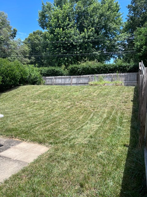 A backyard with a wooden fence and a patch of dirt.