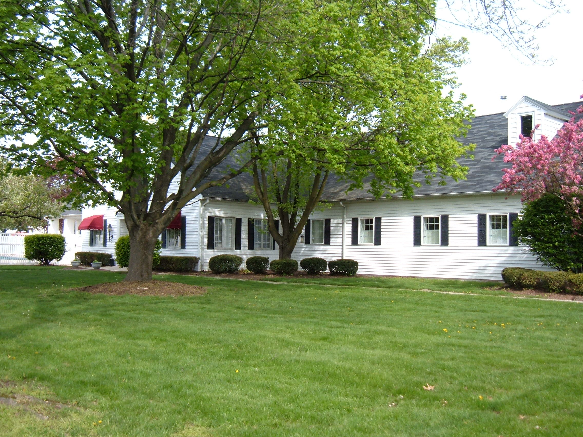a white house with trees in the front yard