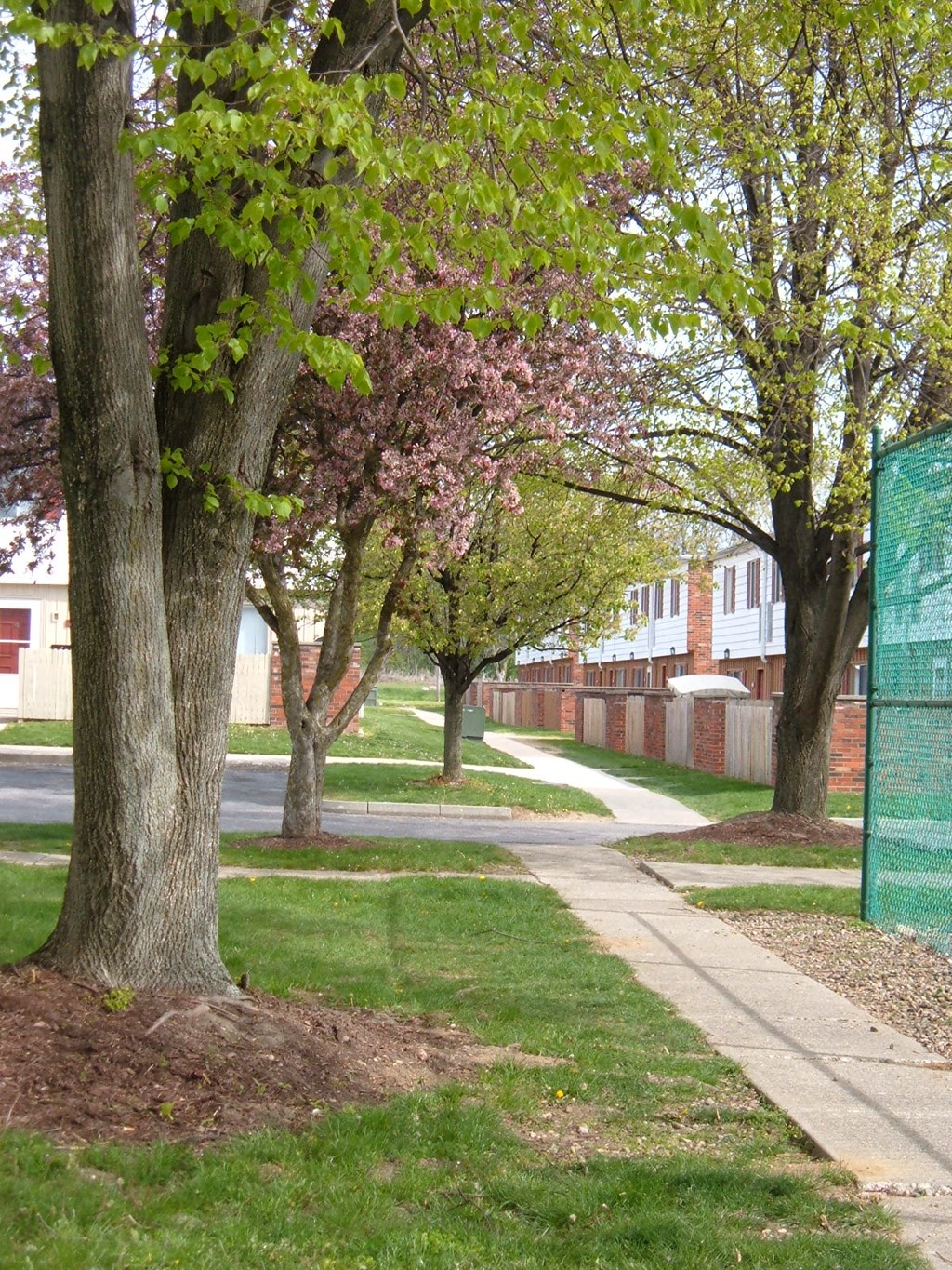 a sidewalk with trees and a green fence