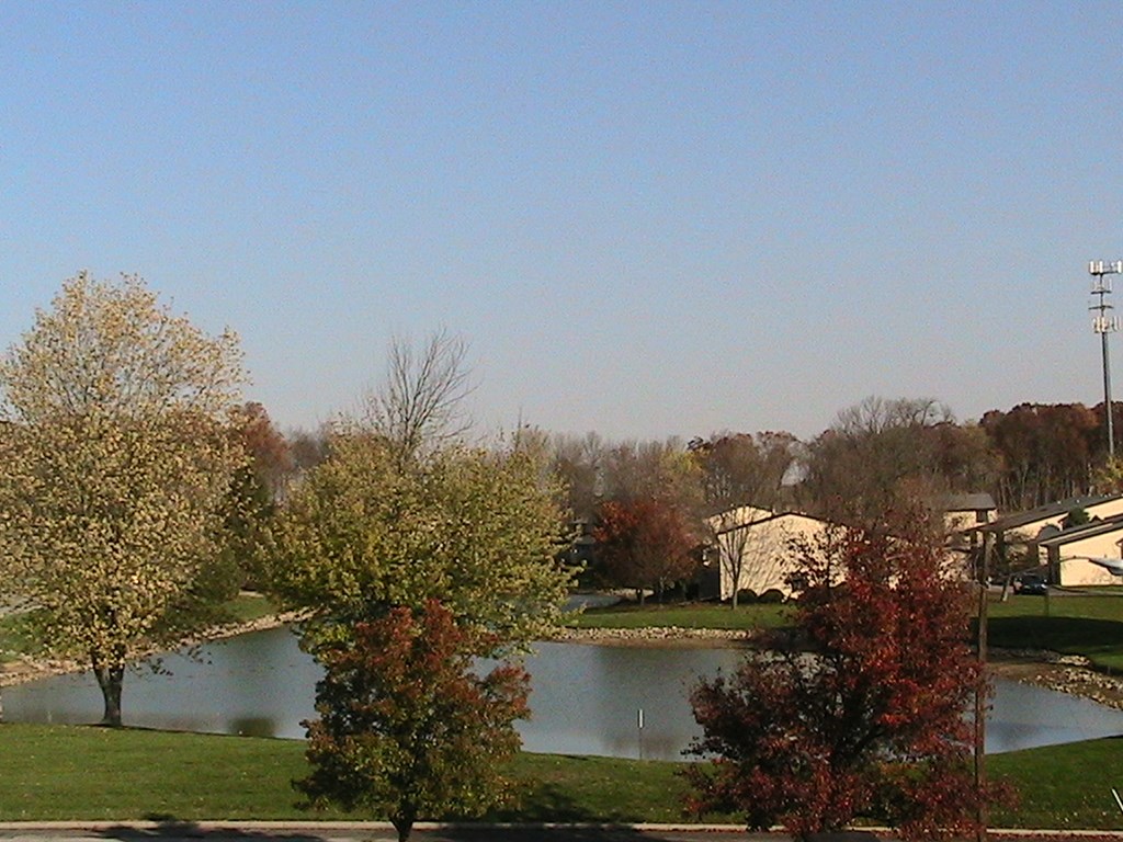 a park with a lake and some trees