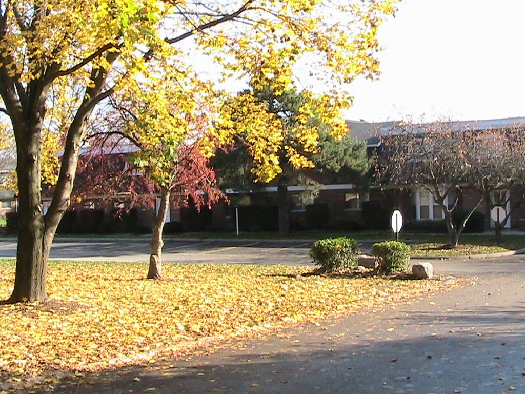 a yard with leaves on the ground in front of a building