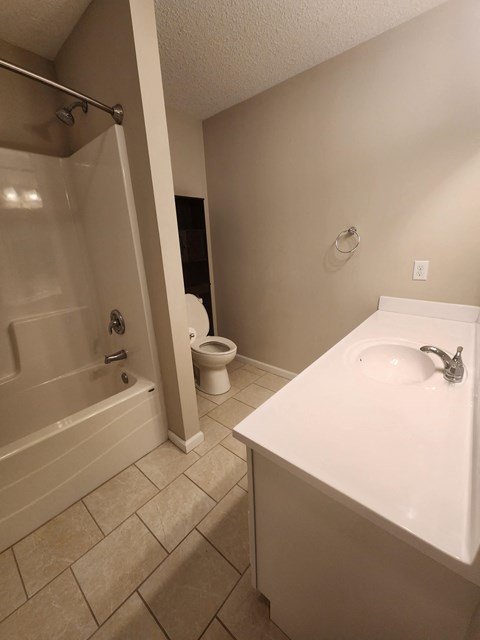 a bathroom with a sink and a shower and a toilet