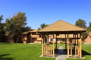 5829 Montgomery St. 1-4 Beds Apartment for Rent - Photo Gallery 4