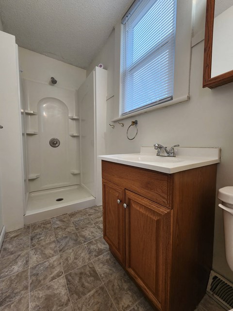 a bathroom with a sink and a shower and a toilet