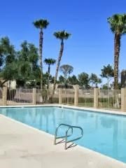 5100 E. Tropicana Ave. 1-3 Beds Apartment for Rent - Photo Gallery 4